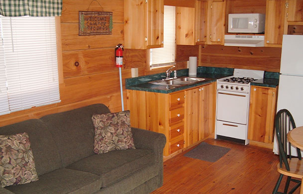 Deluxe Cabin interior kitchen