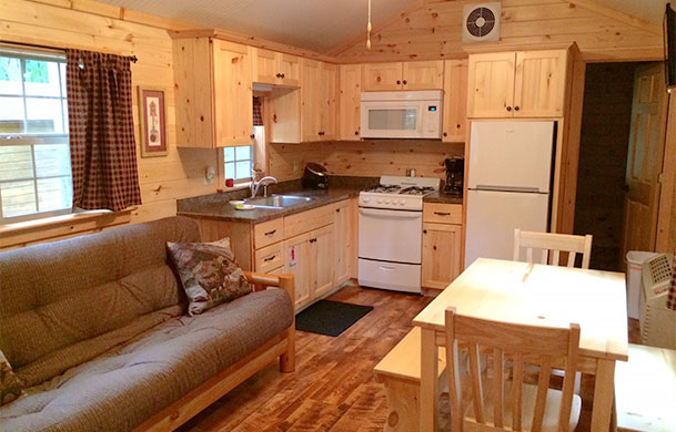 Deluxe Cottage rental interior seating area and kitchen
